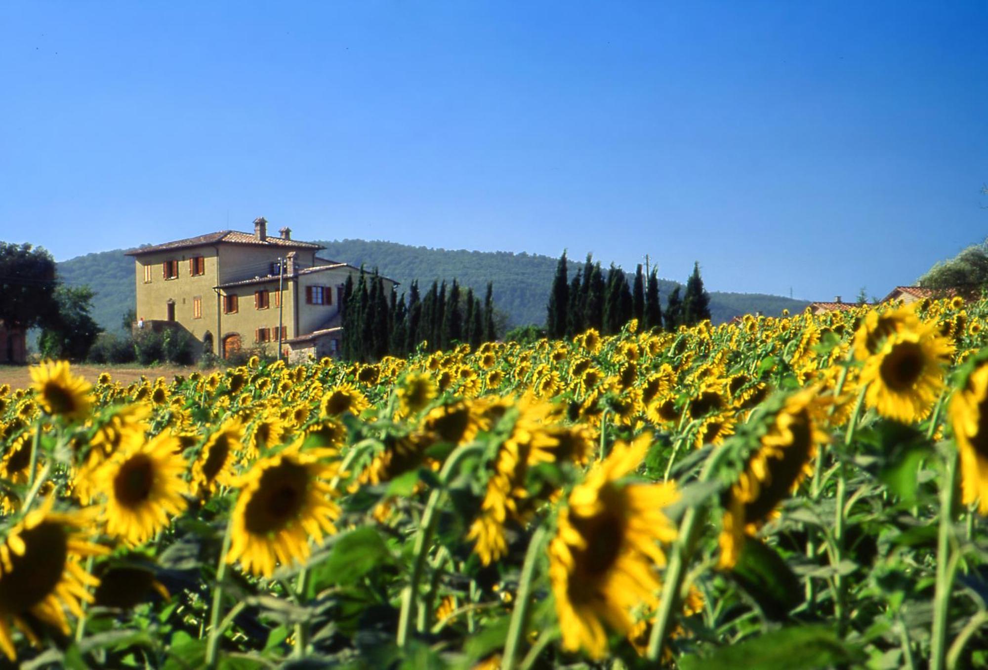 Agriturismo Palazzo Bandino - Wine Cellar, On Reservation Restaurant And Spa К'янчіано-Терме Екстер'єр фото